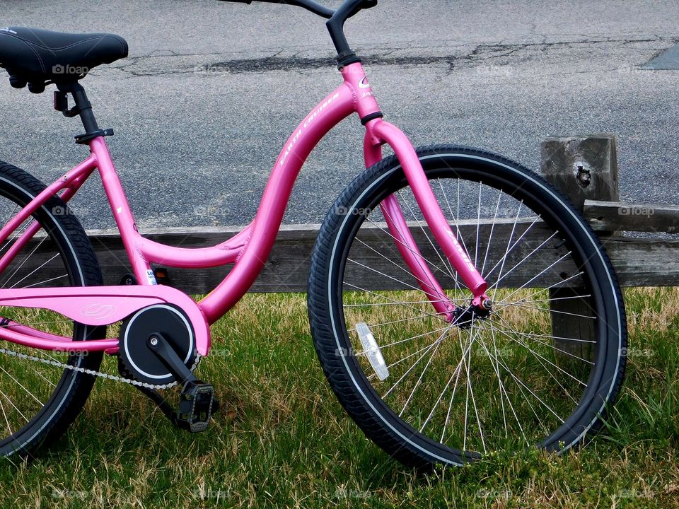The Pink Bicycle