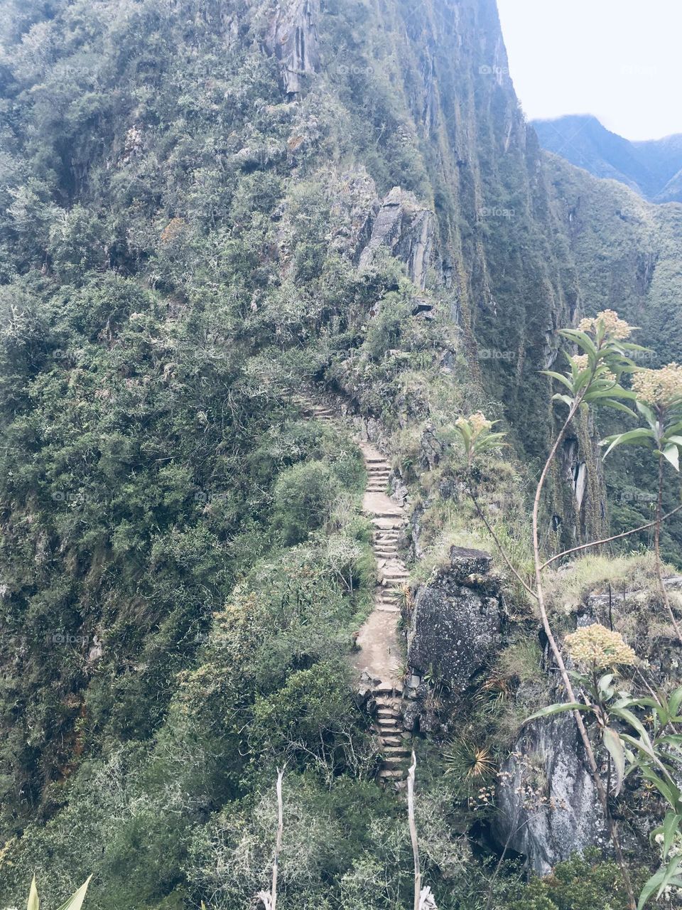 View of Machu Pichu 