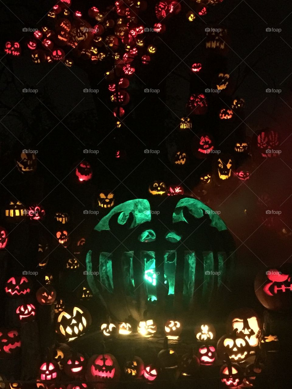 Night of the pumpkins 