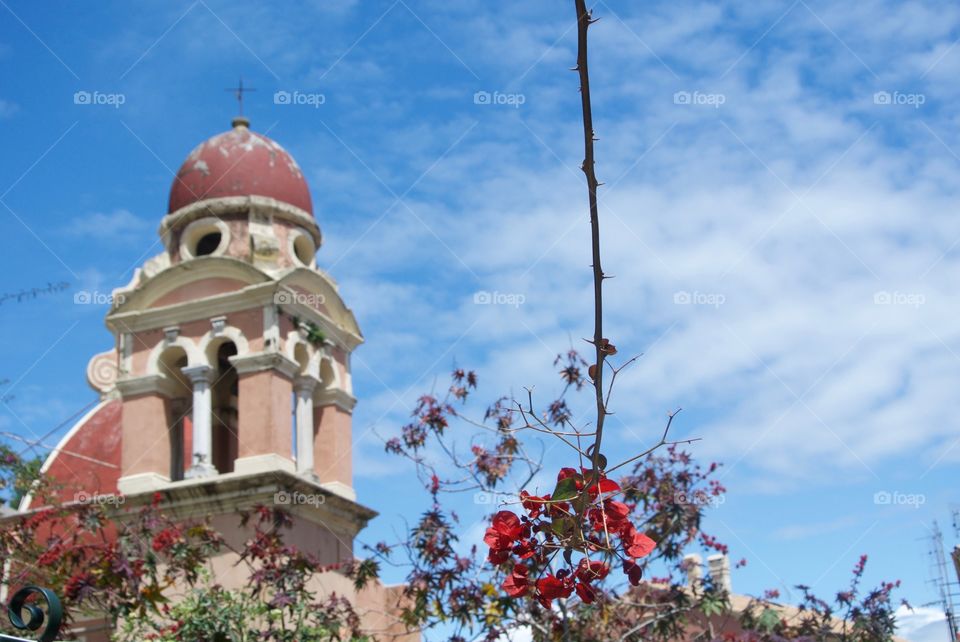Pastel pink bell tower obscured by colourful vines