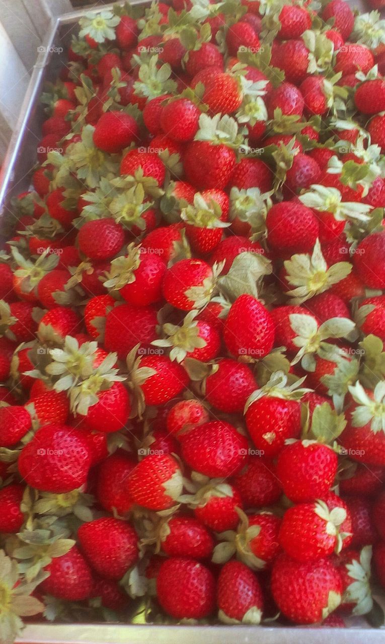 Abundance of fresh red delicious
strawberries in a large big box in local
market