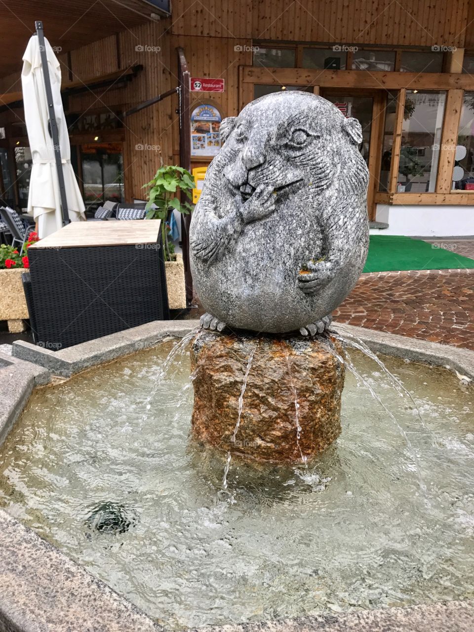 Beaver fountain 