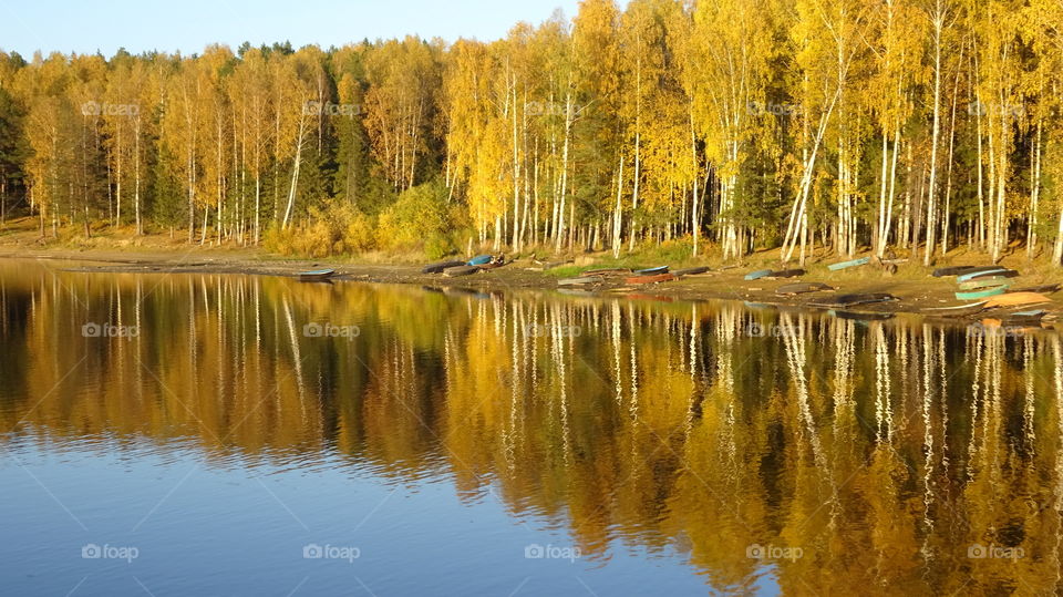 golden autumn in the Urals in Russia
