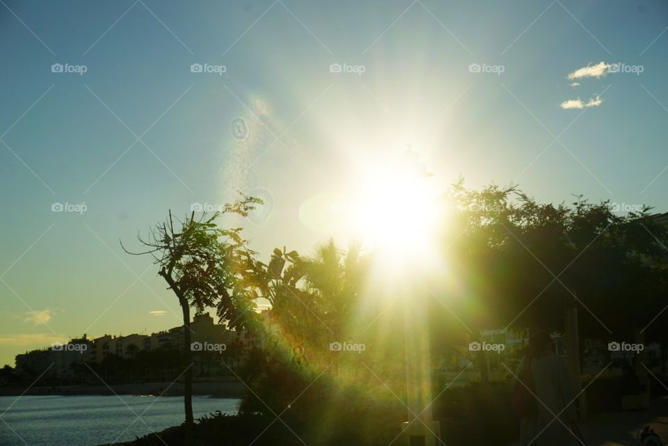 Sun#rays#sky#trees#sea