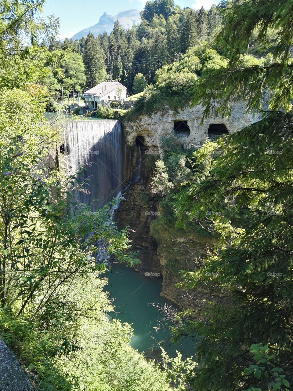 bridge nature