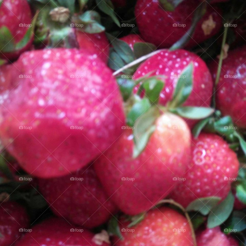 Strawberry