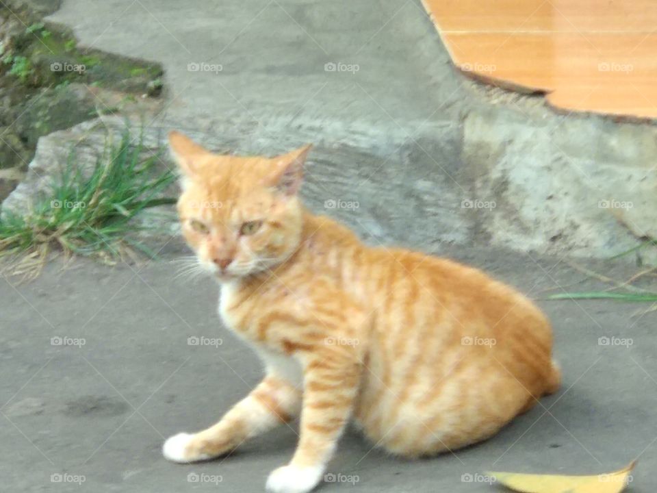 Hey,Don't take a Picture!!