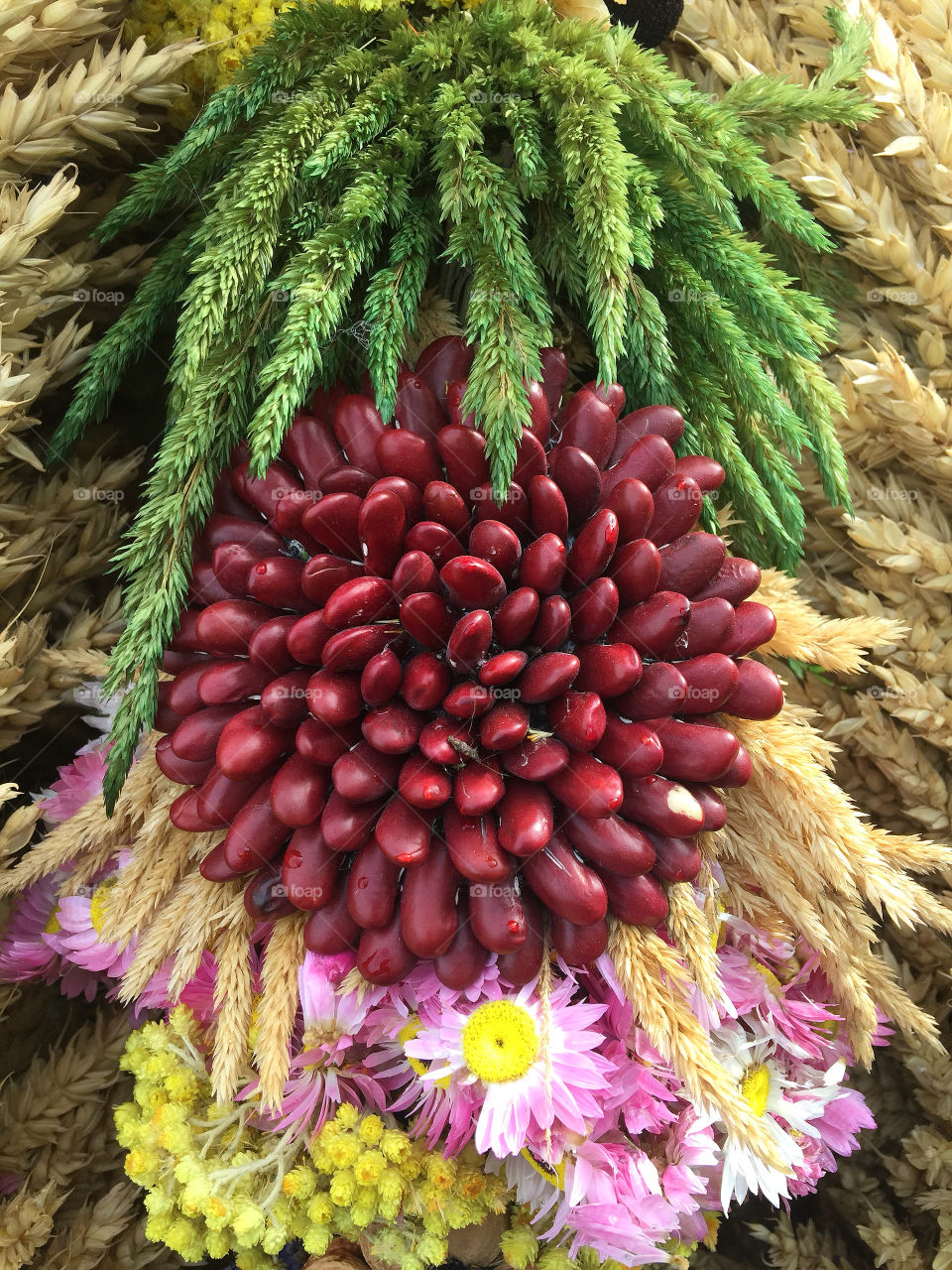 A composition of dried ears, flowers, plants and grains beans. 