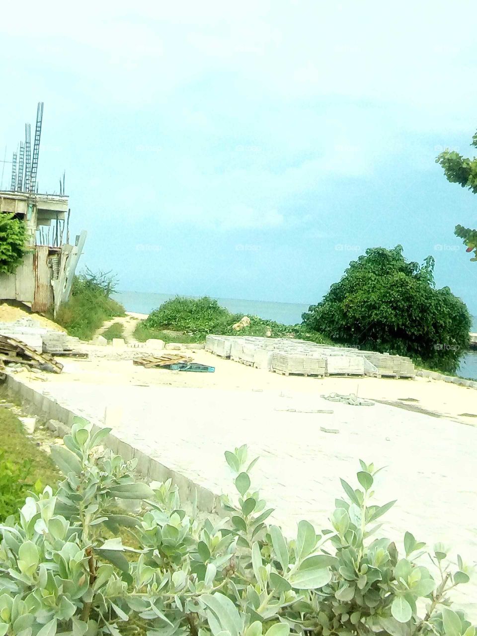 the trees or green and the sky Is blue and the beach is very clear an the sun is very hot.