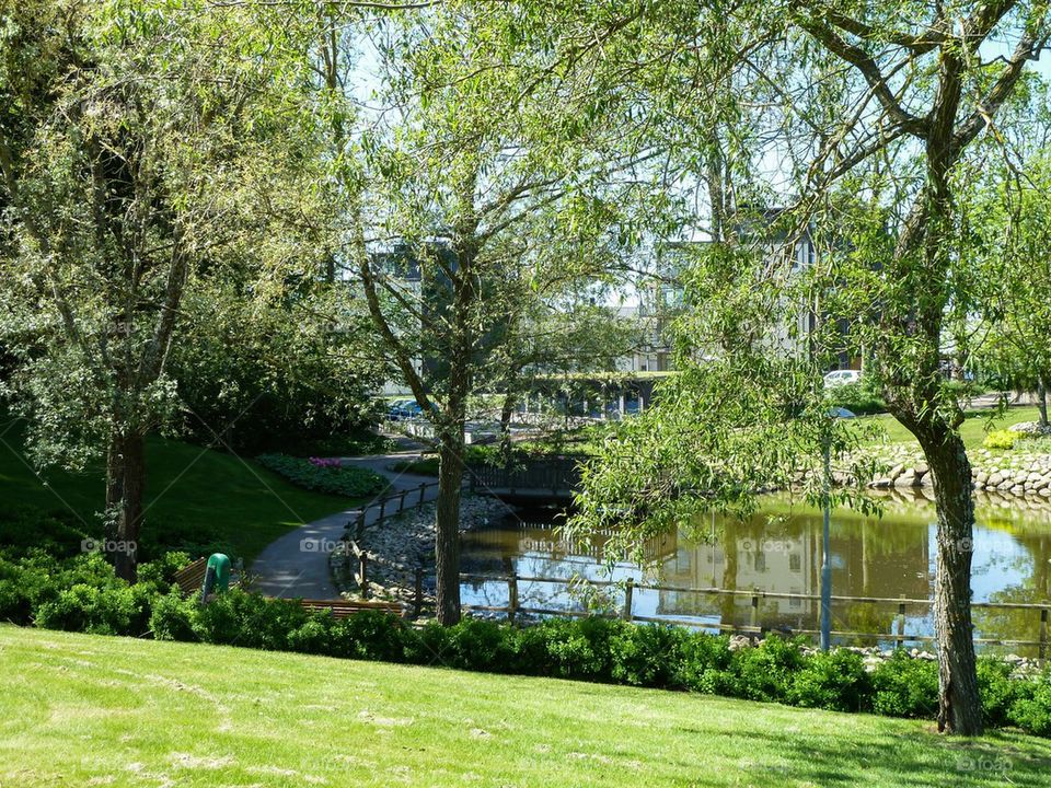 Pond, Vejbystrand Sweden