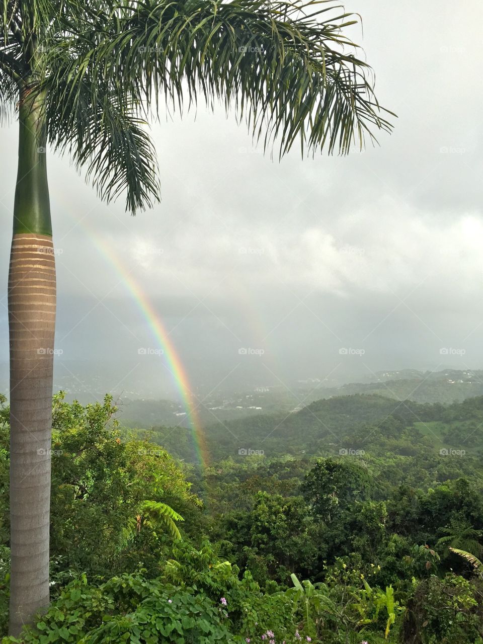 Hiking in Puerto Rico 