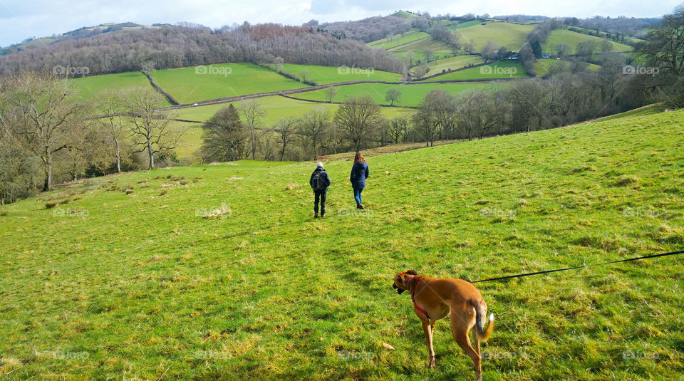 Walkers and a dog