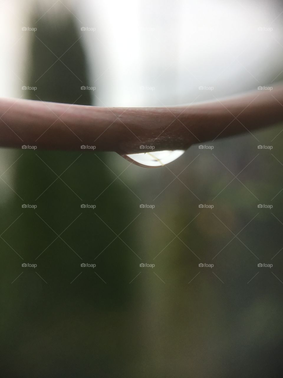 Raindrop