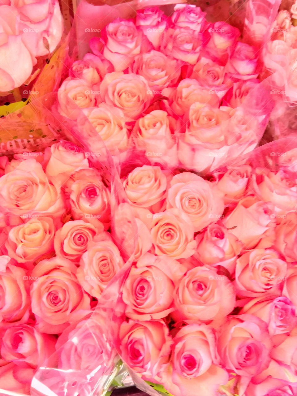 Rose, Flower, Floral, Bouquet, Petal