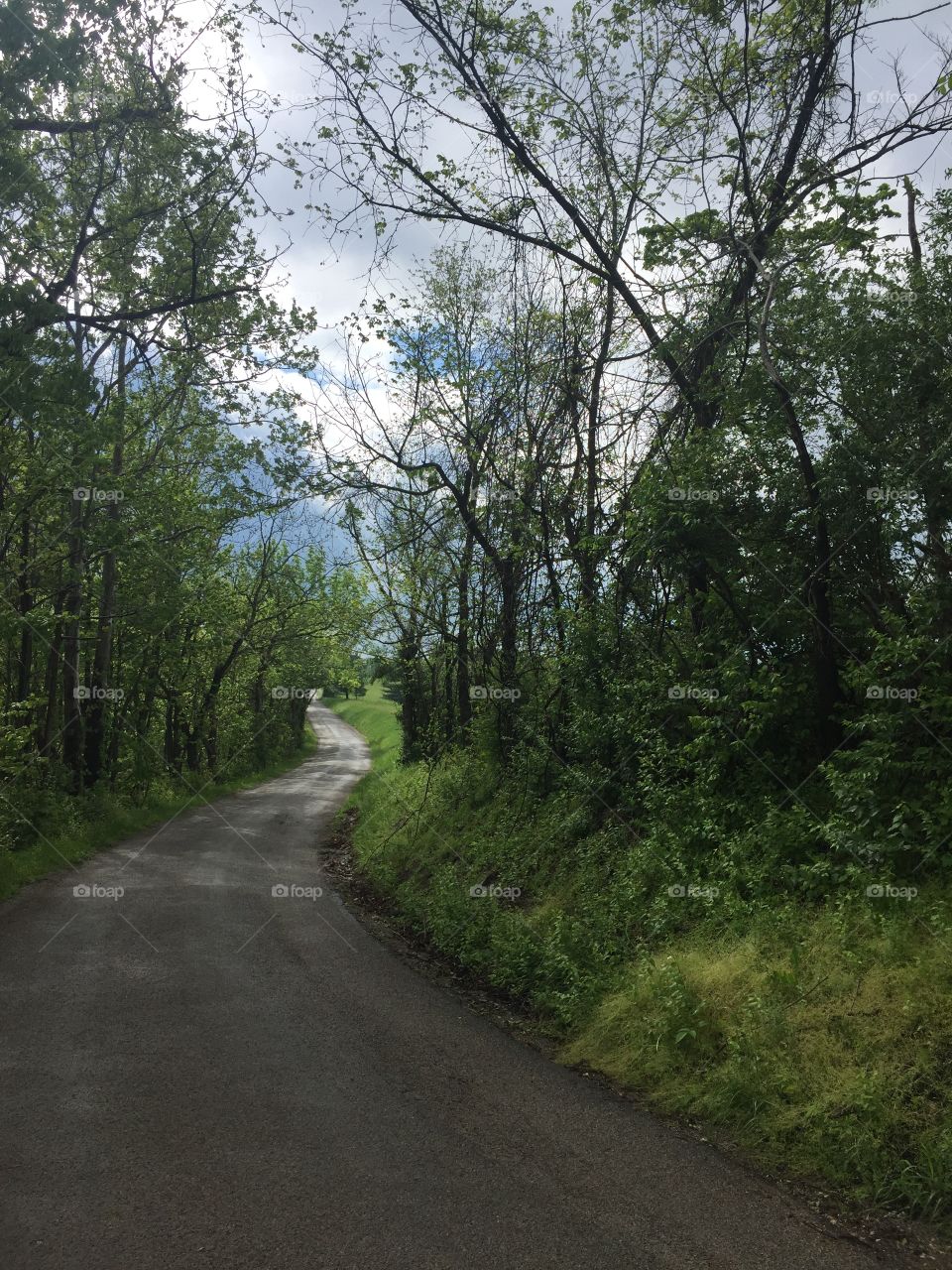 Backcountry road, Athens Ohio. 