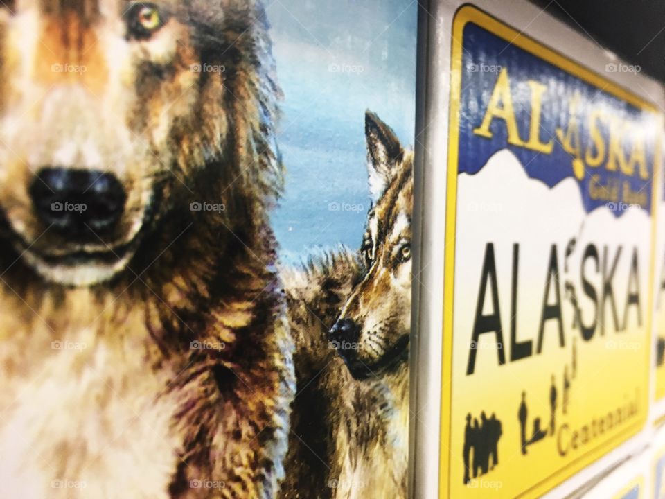 Alaska Souvenir 