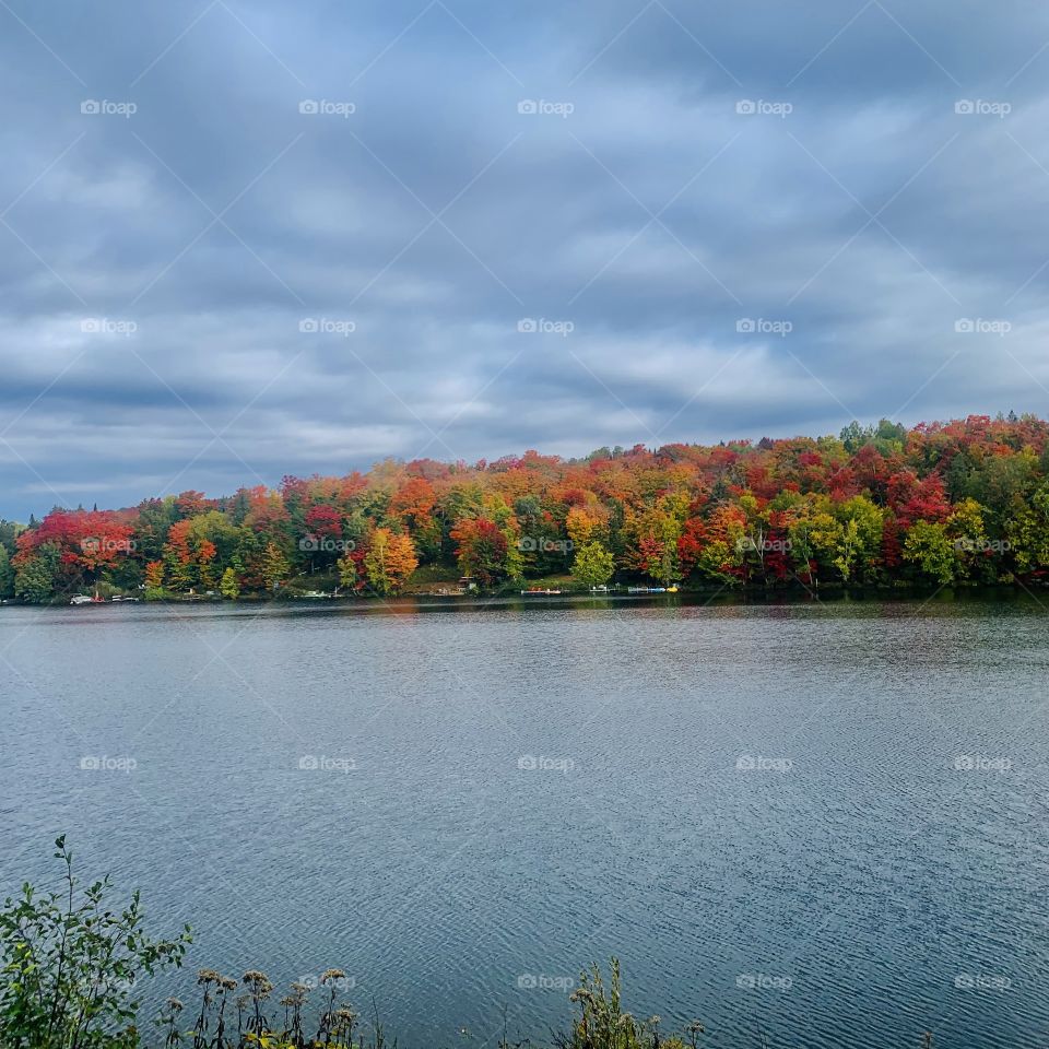 Autumn is beautiful 🍂