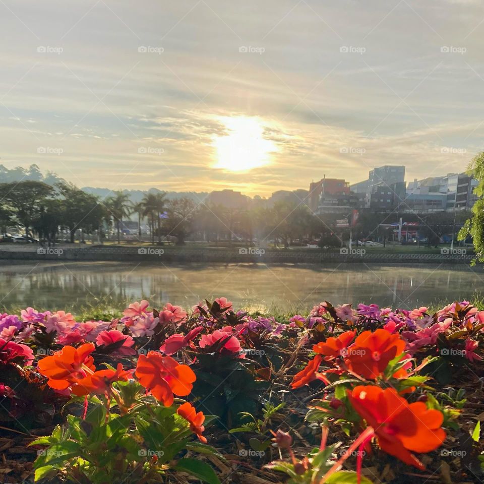 Amanhecer florido e bonito na cidade de Bragança Paulista (Brasil)!Olhe o sol iluminando o lago. Não é maravilhoso?

Flowery and beautiful dawn in the city of Bragança Paulista (Brazil)! Look at the sun illuminating the lake.  Isn't it wonderful?