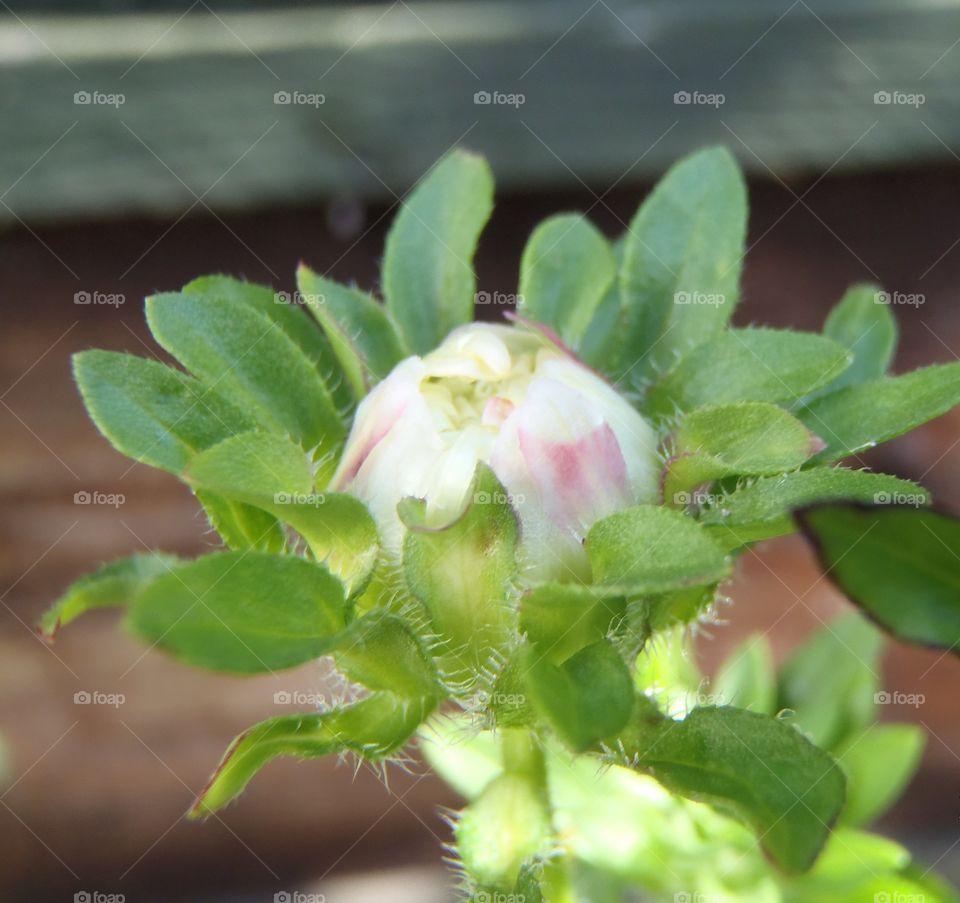 Getting ready for a show