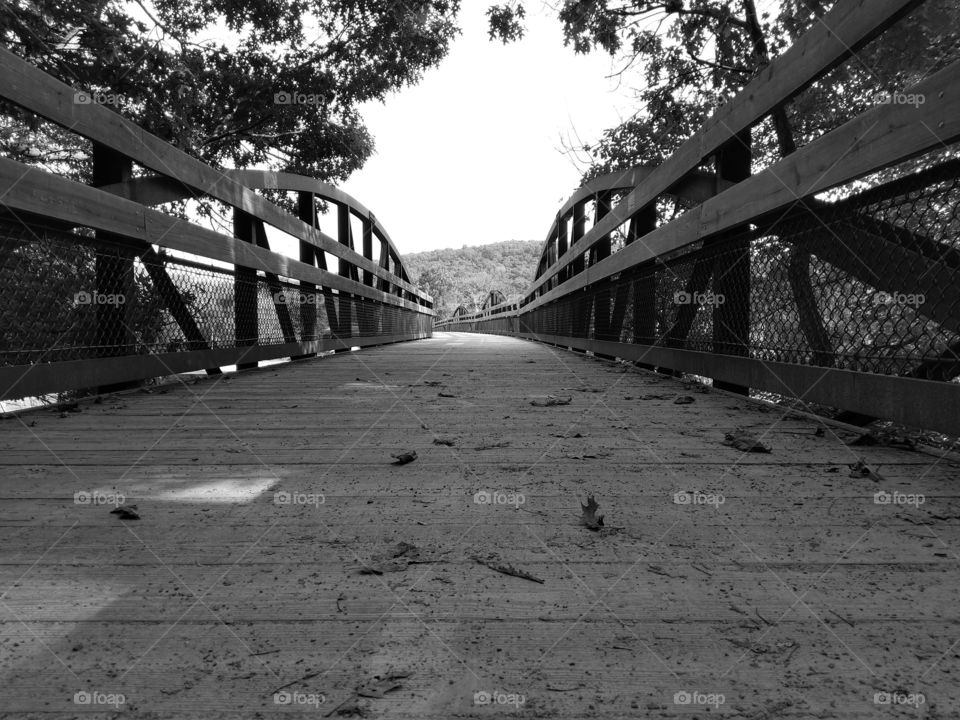 Monochrome on the Essential Ph-1 at Ohiopyle