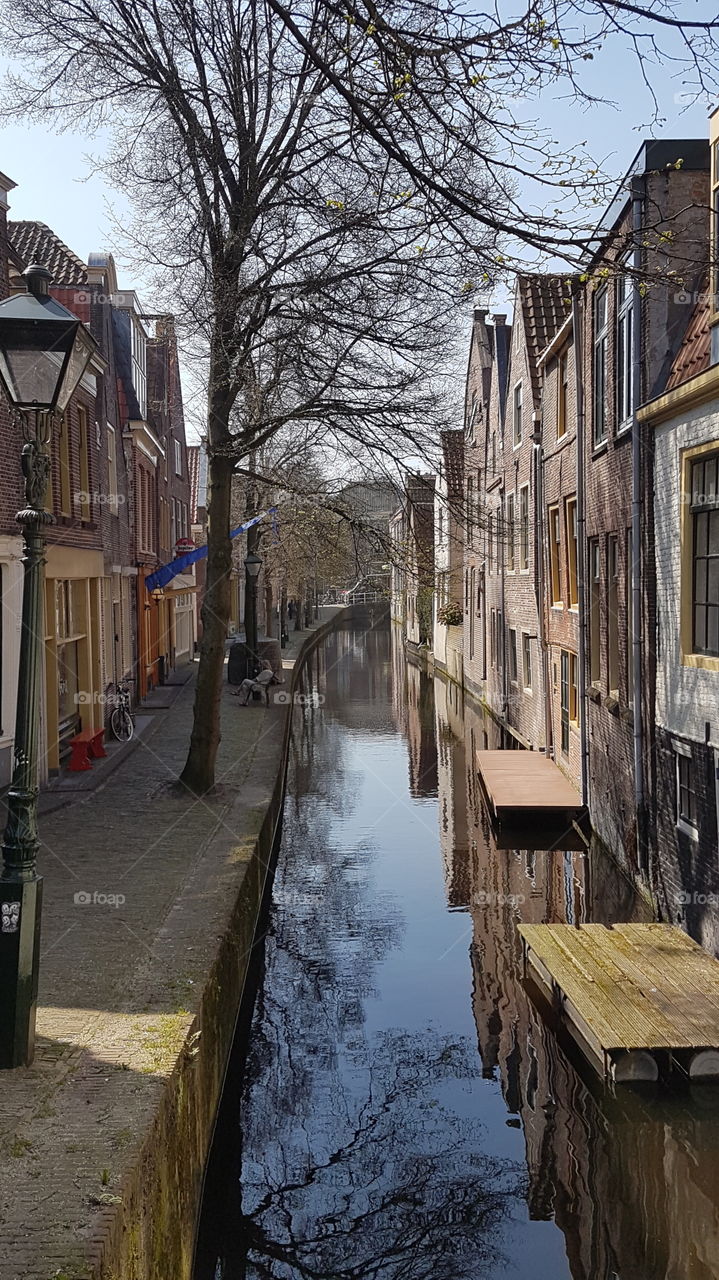 Charming narrow street of Alkmaar, Netherlands, with a canal