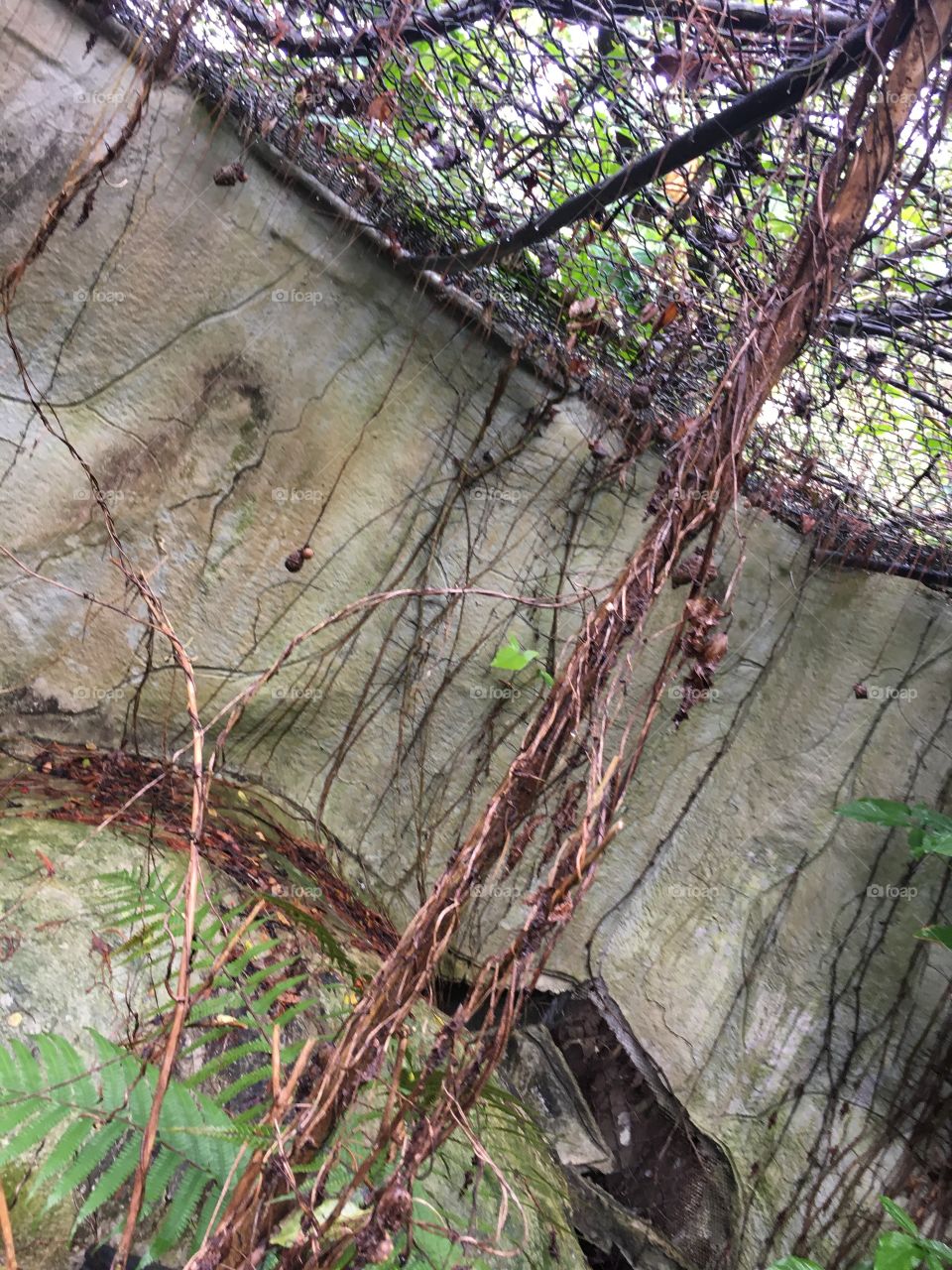 Abandoned Jungleland Zoo