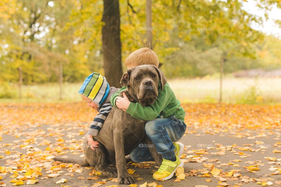 walking the dog down the street, the owner walks the weakling, teaches her, cleans up after her, educates, plays with his pet. people and dogs are best friends