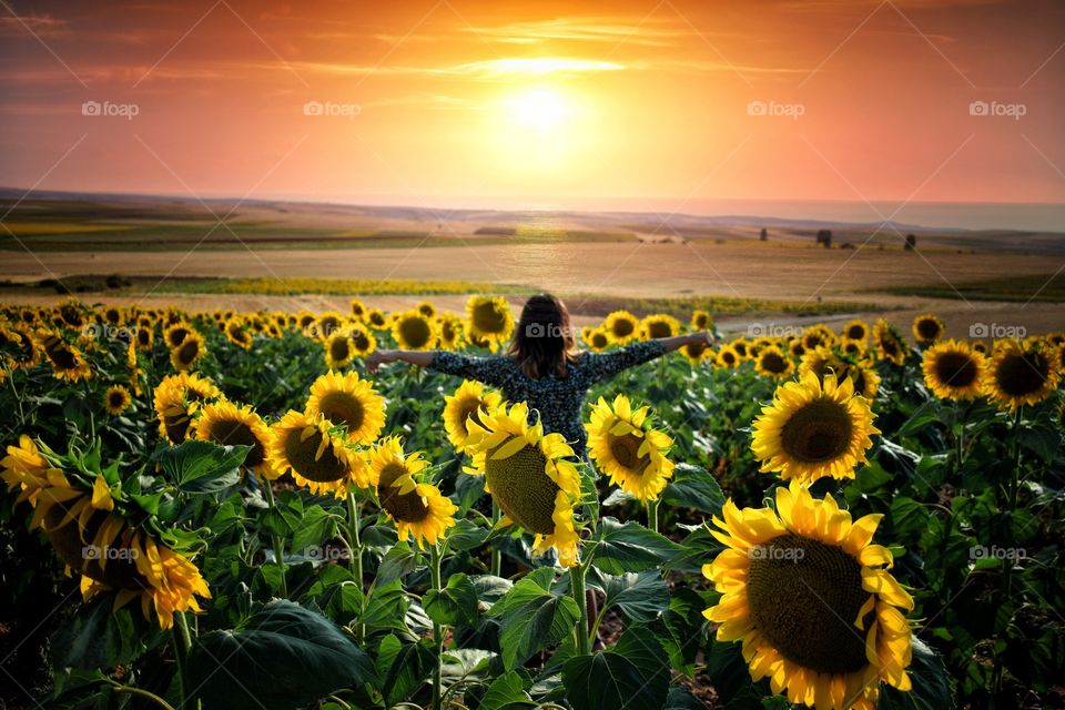 Sunset in the countryside