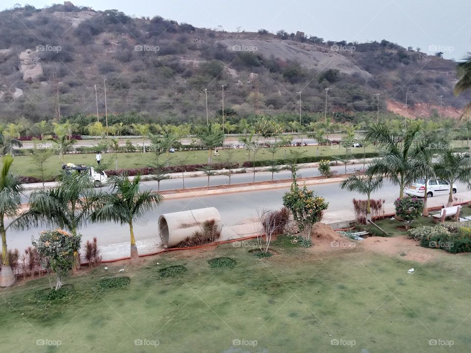 forest view in india