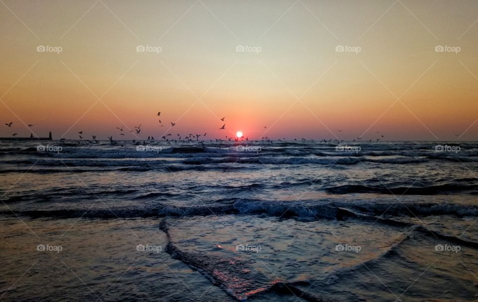 Sunset, Water, Sea, Dawn, Beach