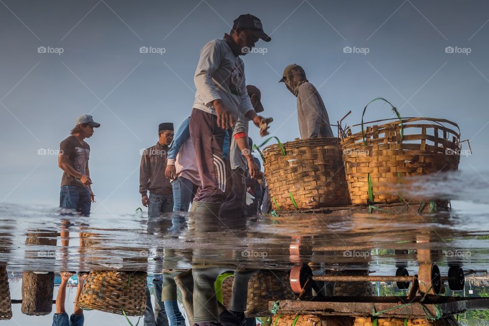 daily activities of fishermen at the port of Mayangan, Probolinggo, Indonesia