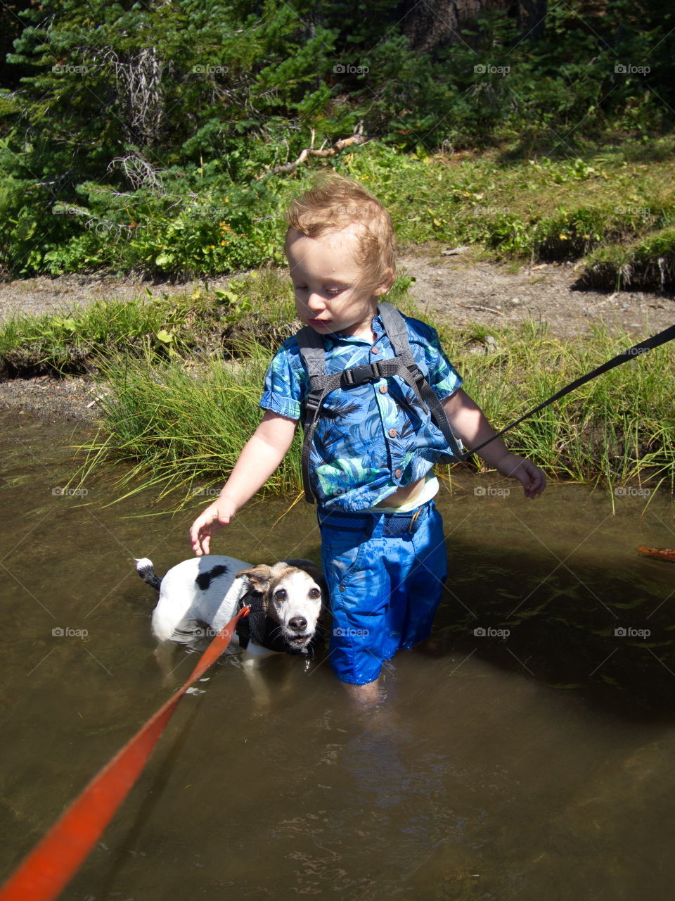 Little boy on summer vacation at high lake in Oregon forest 