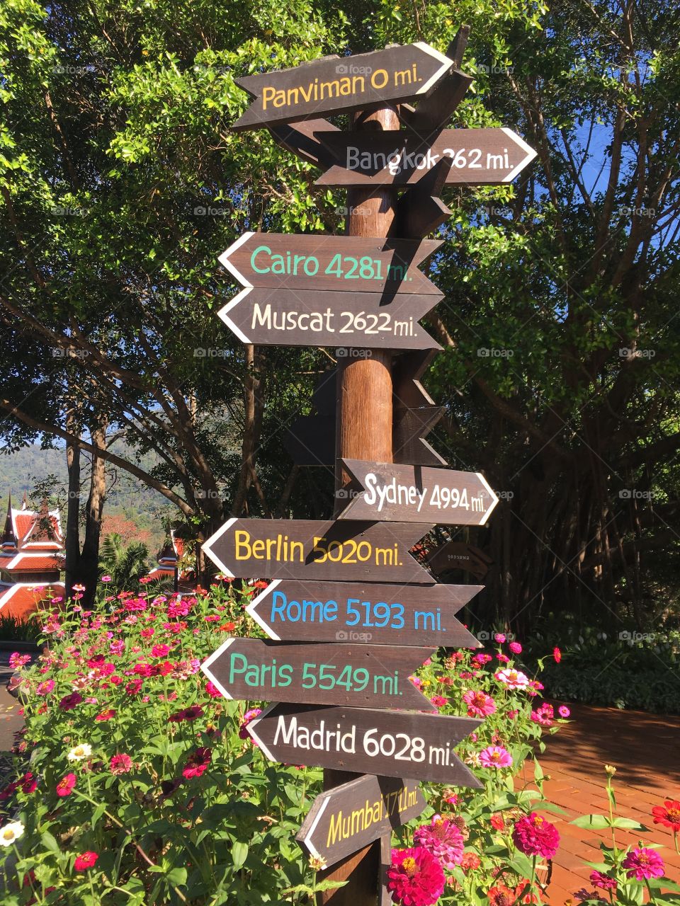 Which way do you want to go?