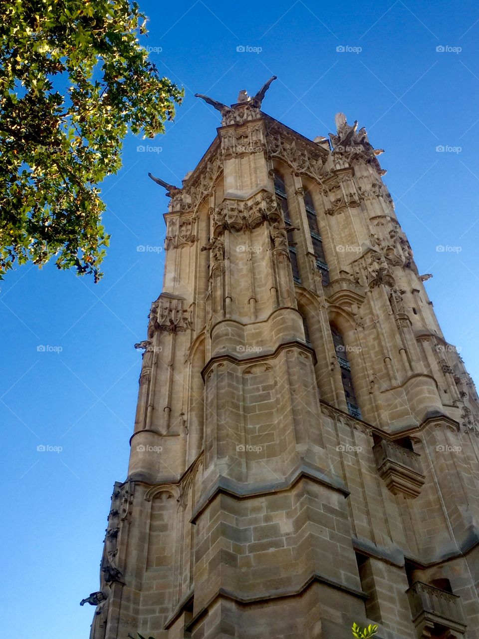 Saint Jacques tower's