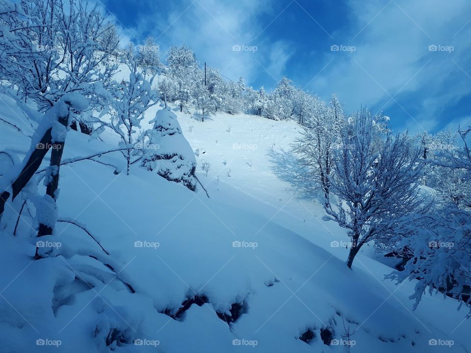 winter in the village