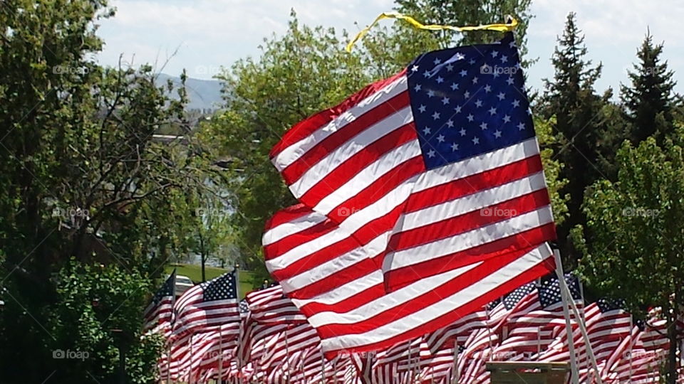 Flags of honor