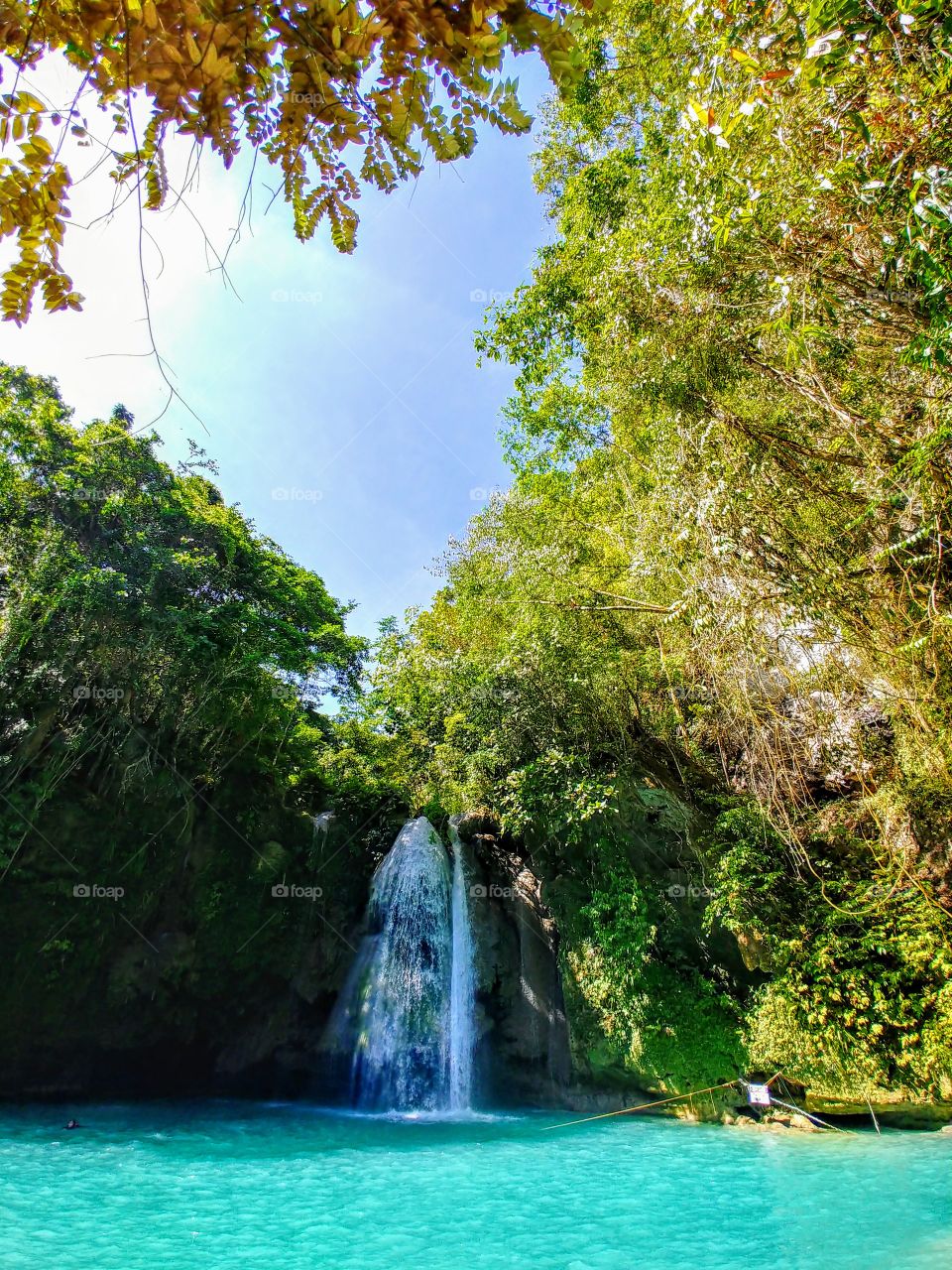 Kawasan Falls in the Philippines