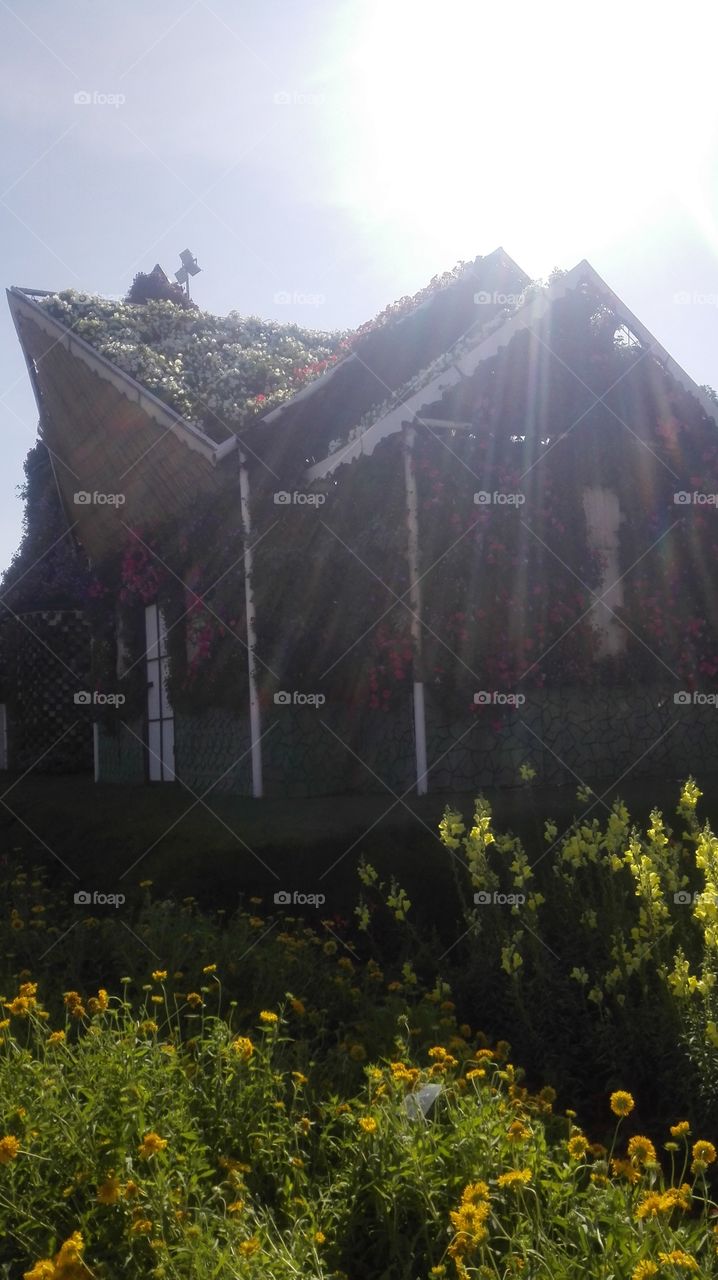 House made of flower's in miracles  garden