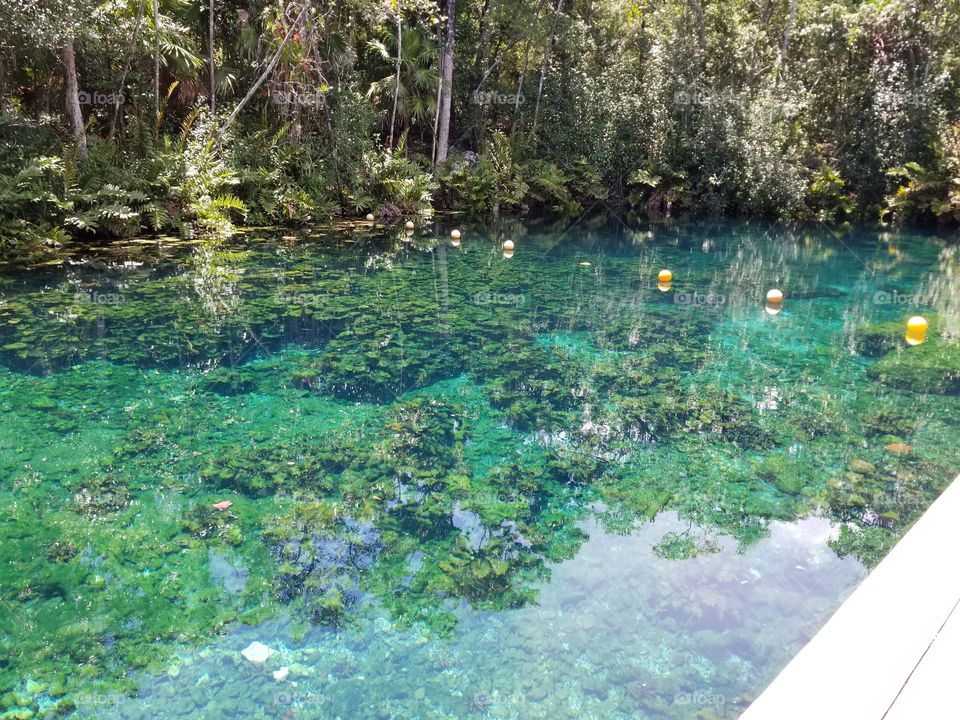 cenote in  youcatan , Mexico