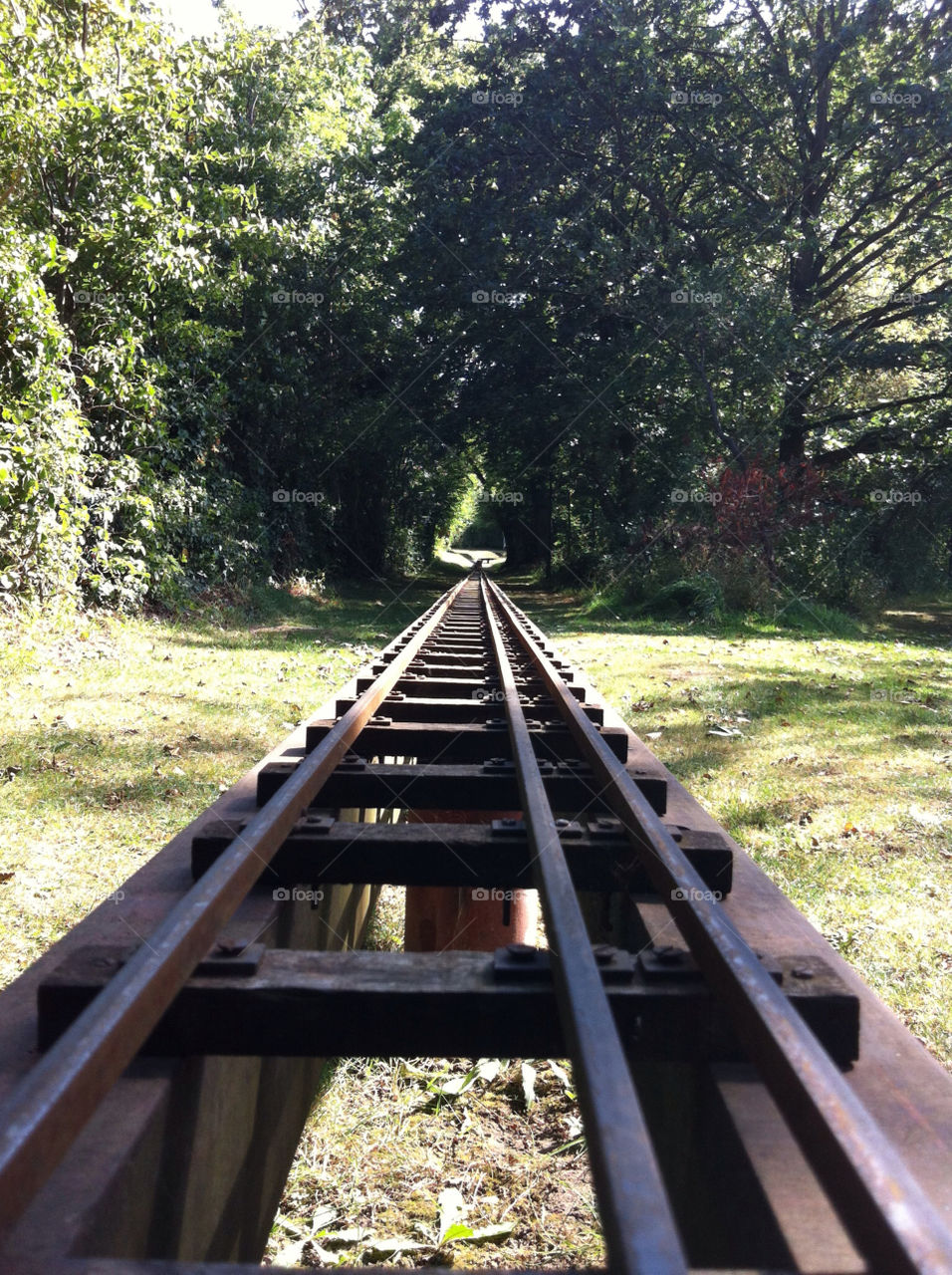 miniature railway