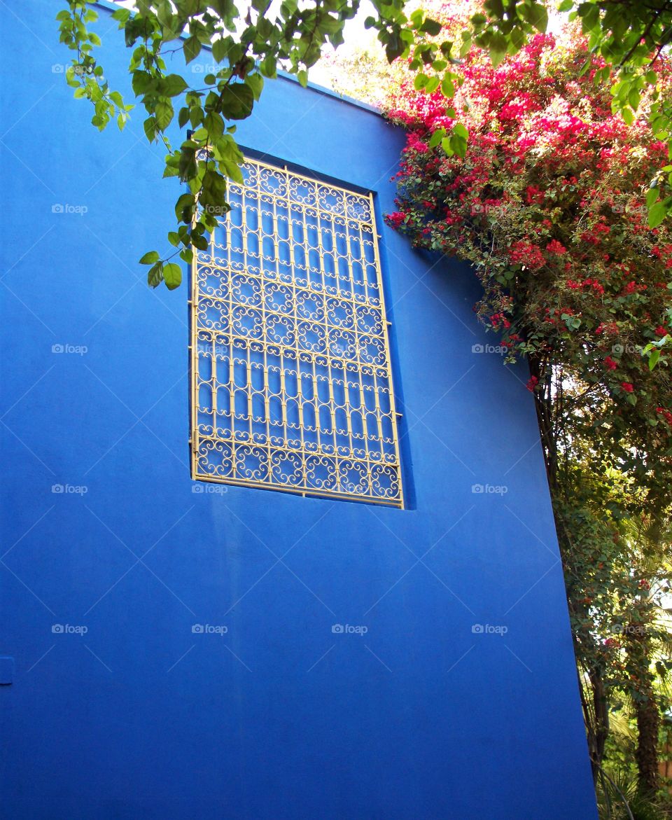 window ,fenêtre. jardin majorelle