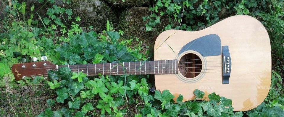ivy guitar