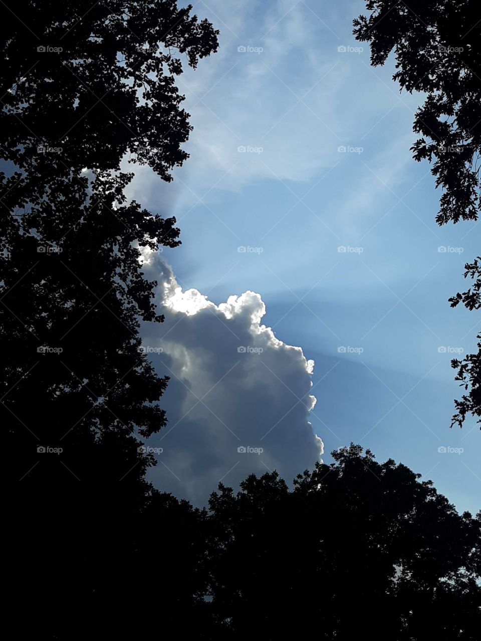 Sunlight and clouds.  Clouds and sunlight   Clouds sunlight and trees 