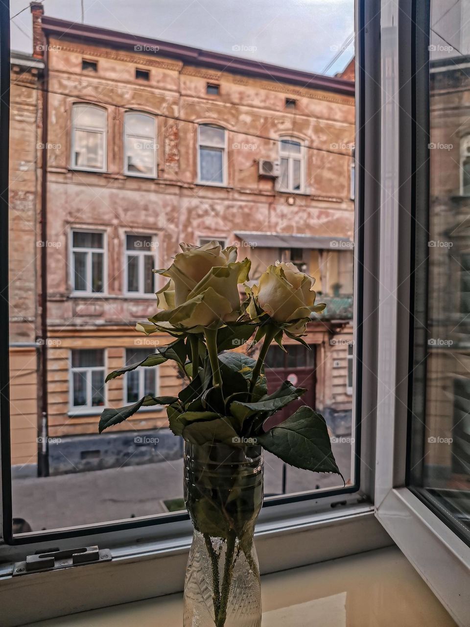 Incredibly beautiful and tender white rosés bouquet in a big old city with beautiful landscape 
