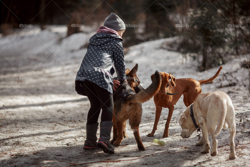 Girl playing with German shepherd puppy in a spring forest at sunny day 