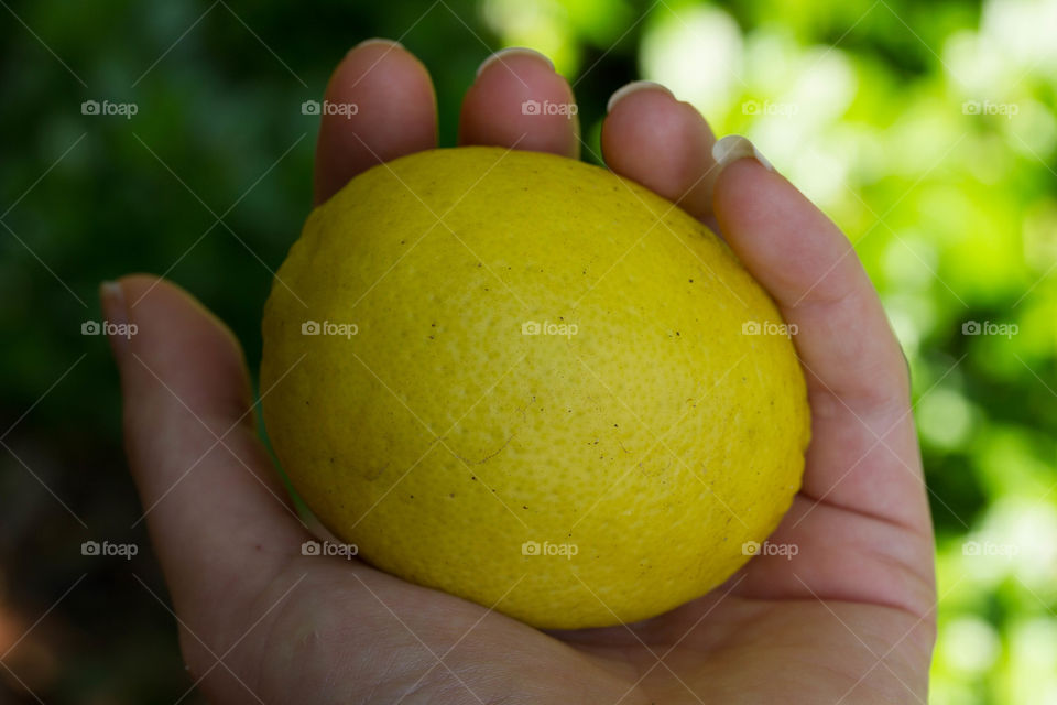 Handful of Lemon