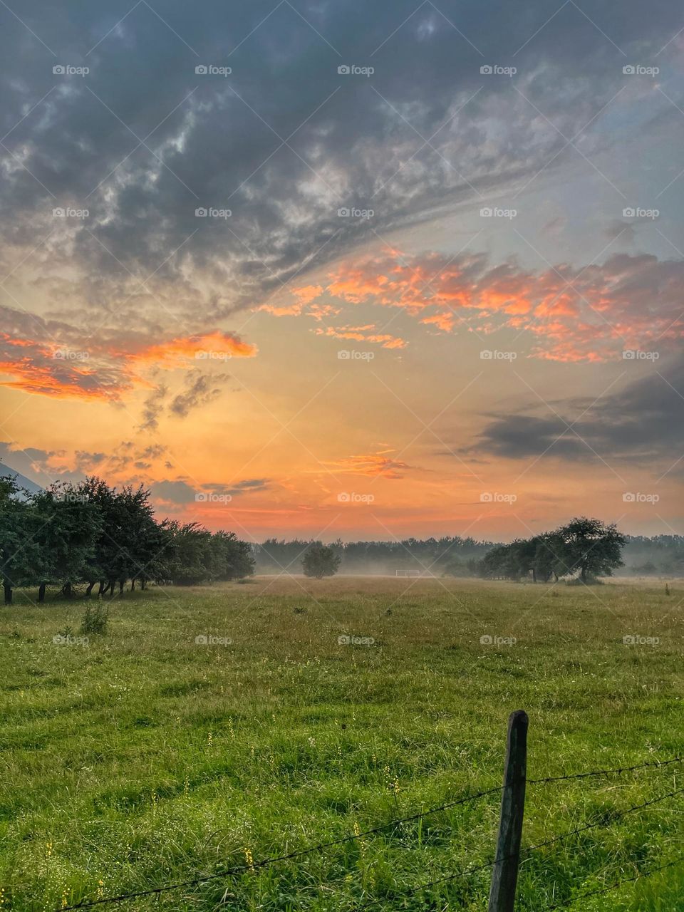 Life in the countryside