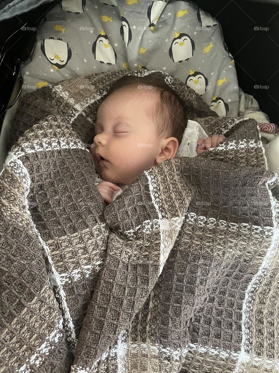 the dream of a small child