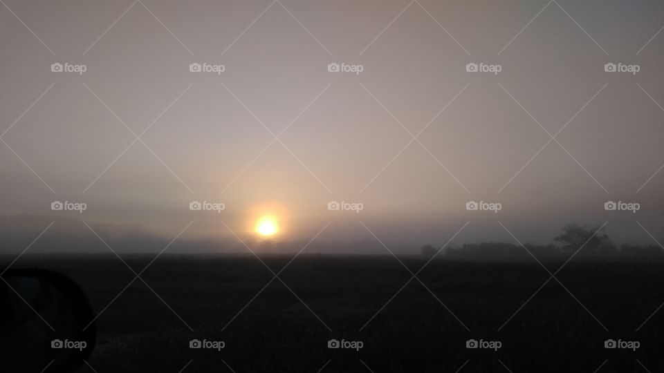 Sunset, Sun, Dawn, Landscape, Fog