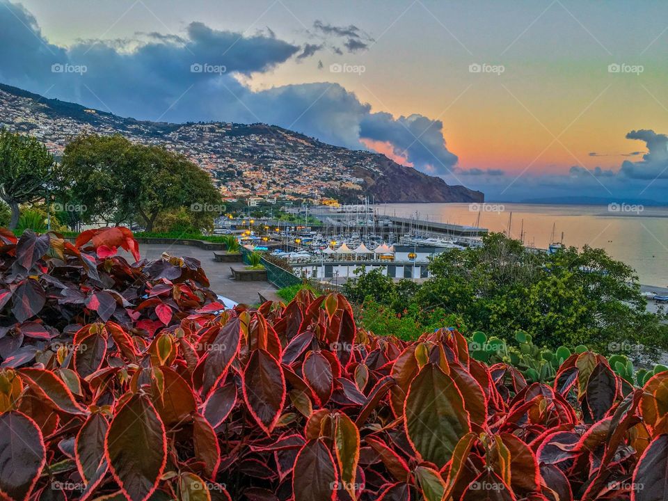 Funchal city harbor MadeiraIsland Portugal 